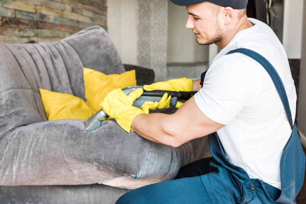 upholstery cleaning experts