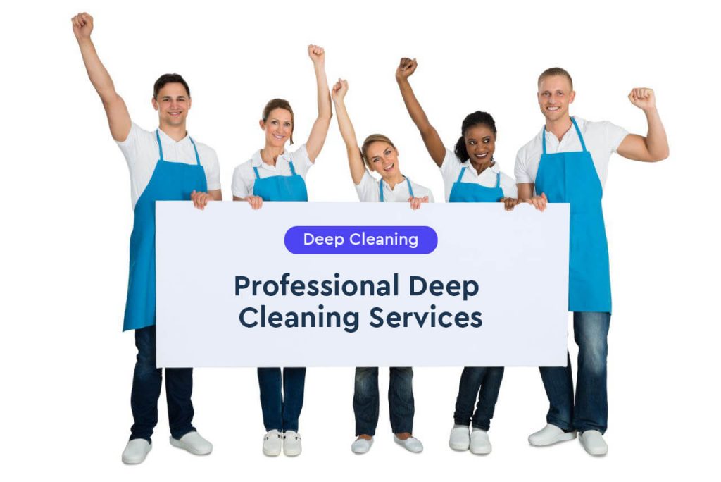 Professional cleaning services