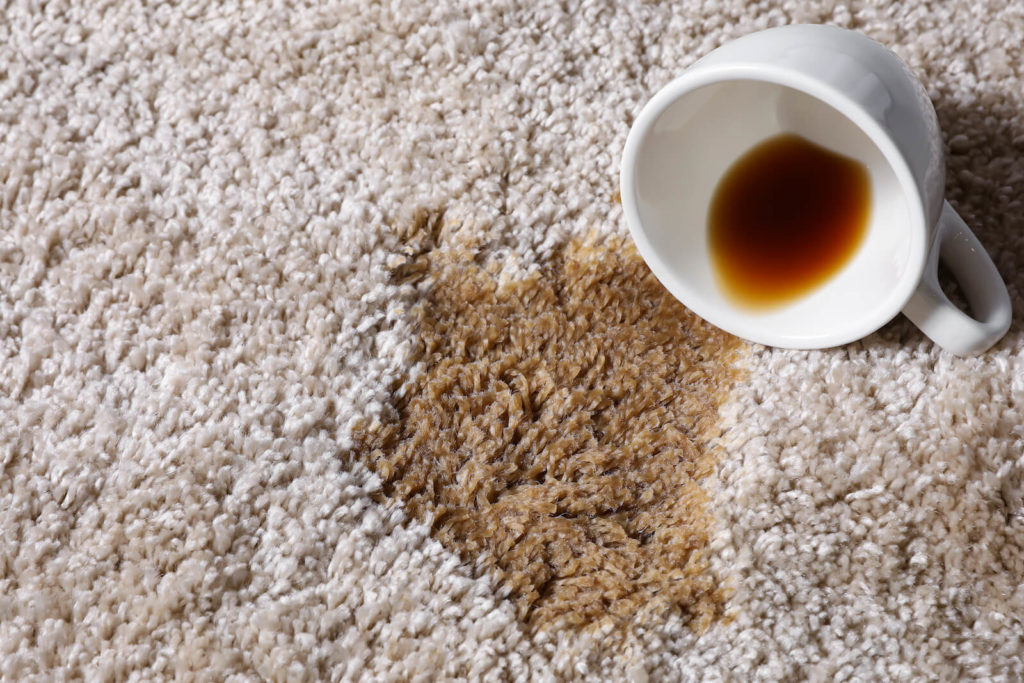 How to Remove Coffee Stains From Your Carpet