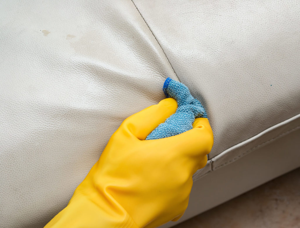 How to Clean Leather Sofa Step by Step Everclean