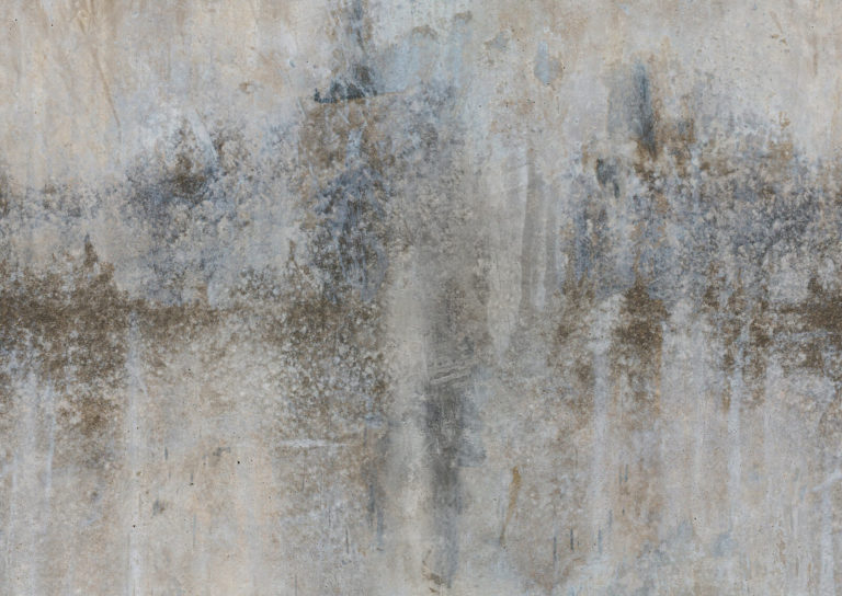 old-gray-plaster-wall-with-mold-stains-2022-07-07-00-52-24-utc