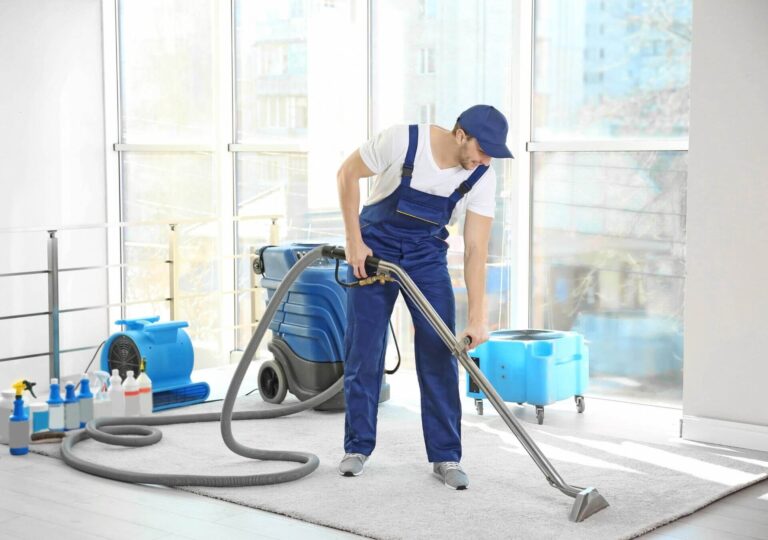 profesional carpet cleaning service